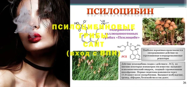 гидропоника Арсеньев