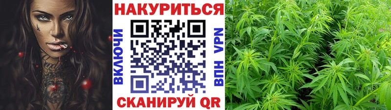 МАРИХУАНА семена  Каменногорск 